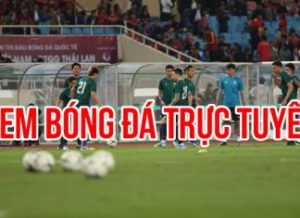 xem bóng đá trực tuyến